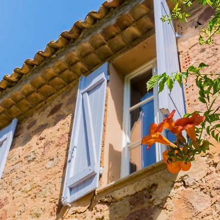 Chateau Des Bertrands Le Cannet-des-Maures Exterior foto